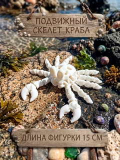 Песочный хаки