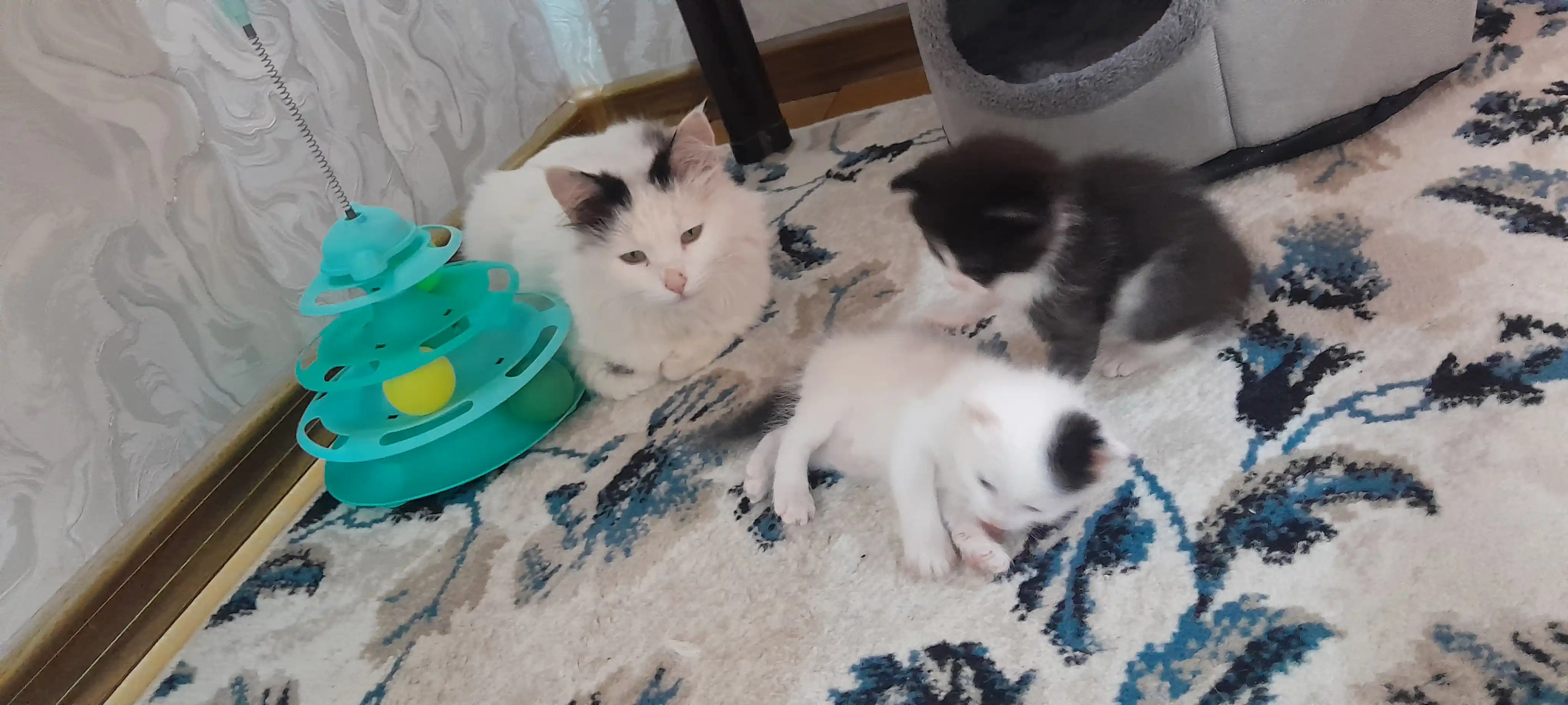 Игрушка для кота