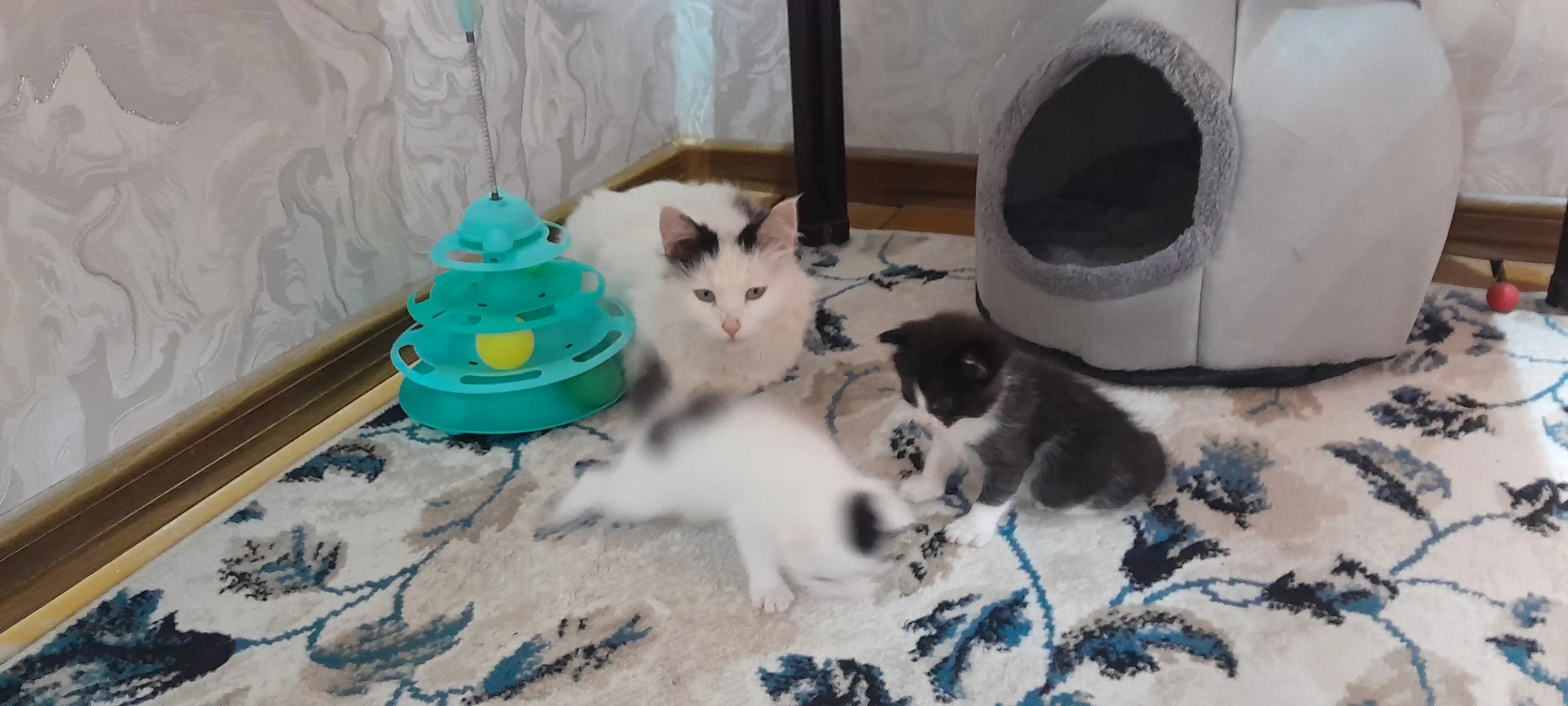 Игрушка для кота
