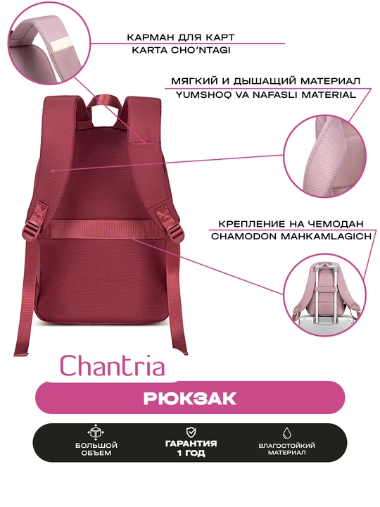 Chantria ayollar ryukzagi, shahar uchun, noutbuk uchun, suvga chidamli, sig'imli sumka
