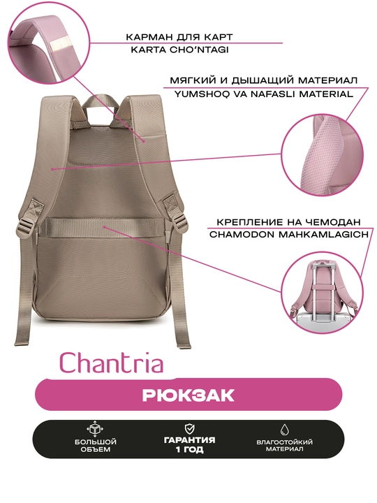 Chantria ayollar ryukzagi, shahar uchun, noutbuk uchun, suvga chidamli, sig'imli sumka