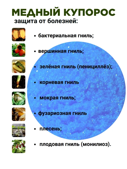 Медный купорос Rubit, антисептик защита от плесини и гнили, 100 г