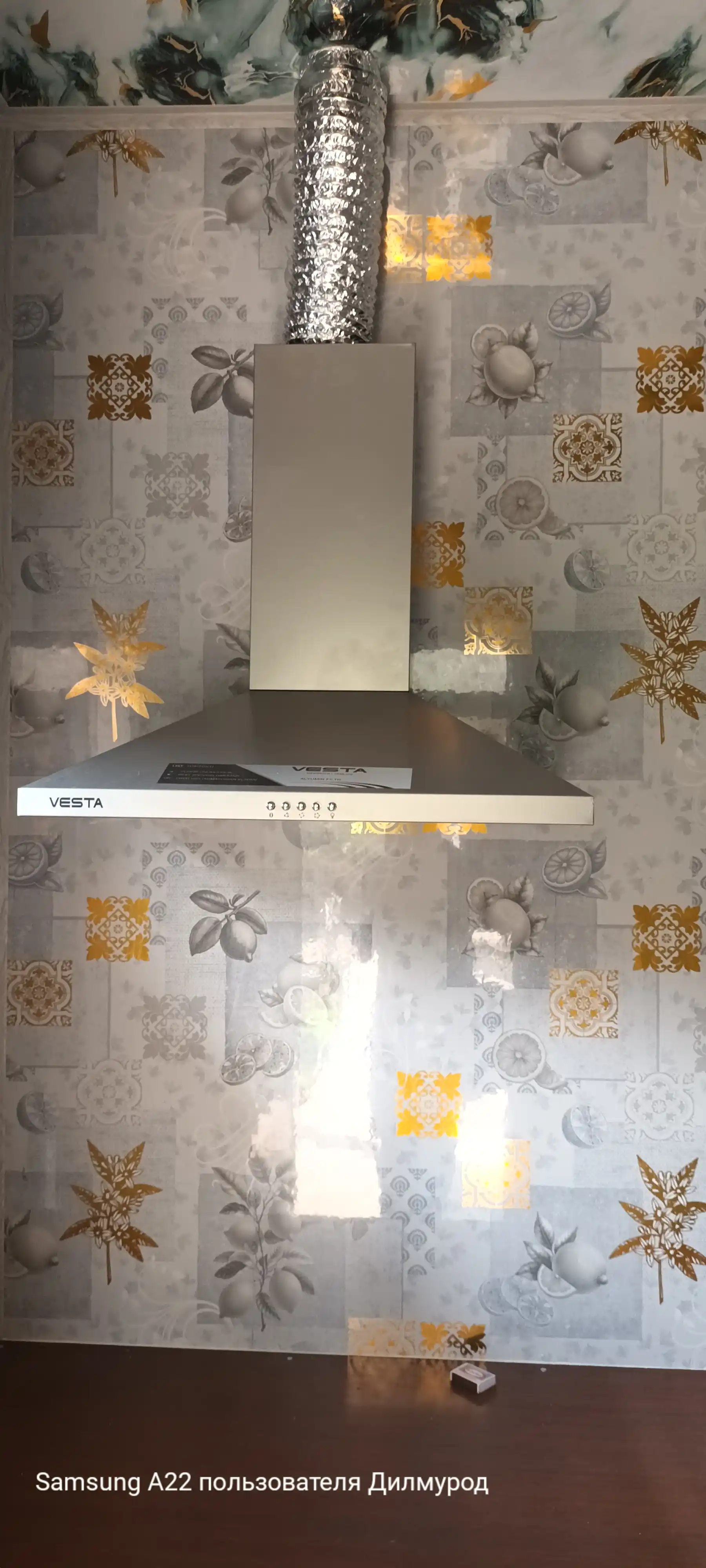 Oshxona dudbo'roni Vesta PR-860