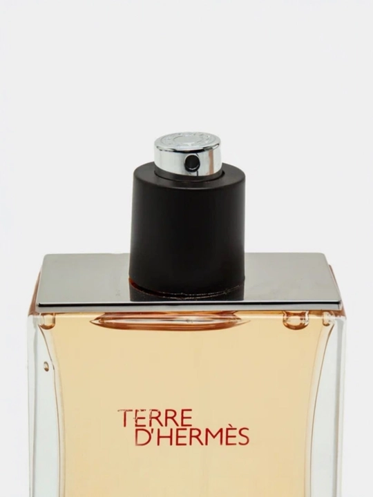 THERRE D'HERMES, Erkaklar uchun xashamatli ifor, 100ml