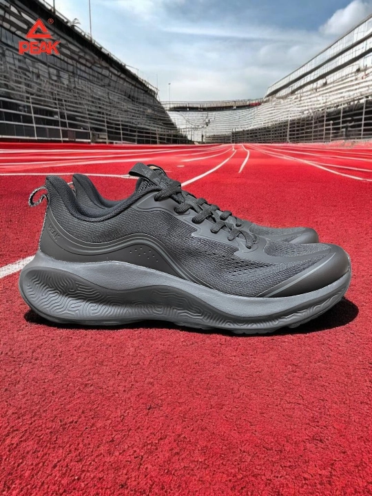 PEAK SPORT erkaklar krossovkasi, 40-46, 47, 48 Running, yugurish uchun