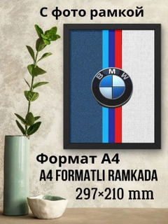 Toʻq koʻk