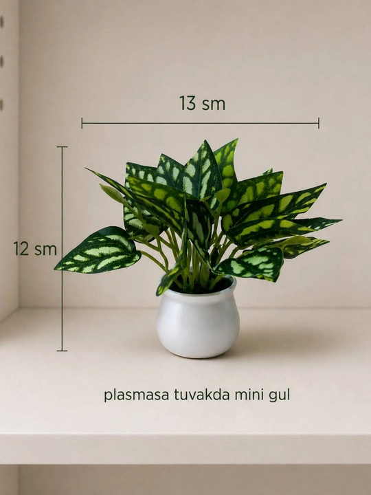 Tuvakdagi sun’iy manzarali o‘simliklar, uy va interyer uchun gullar