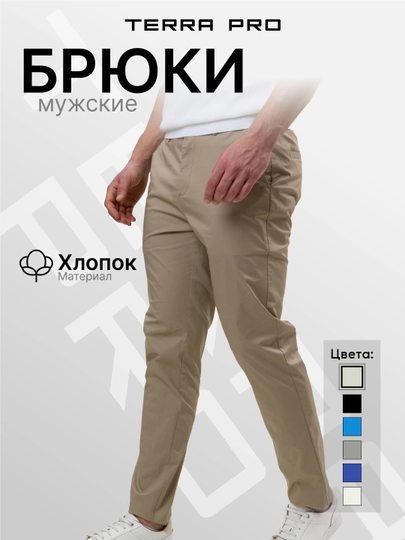 Брюки мужские TERRA PRO, чиносы, хлопок, базовые SS25CR3-45-21507