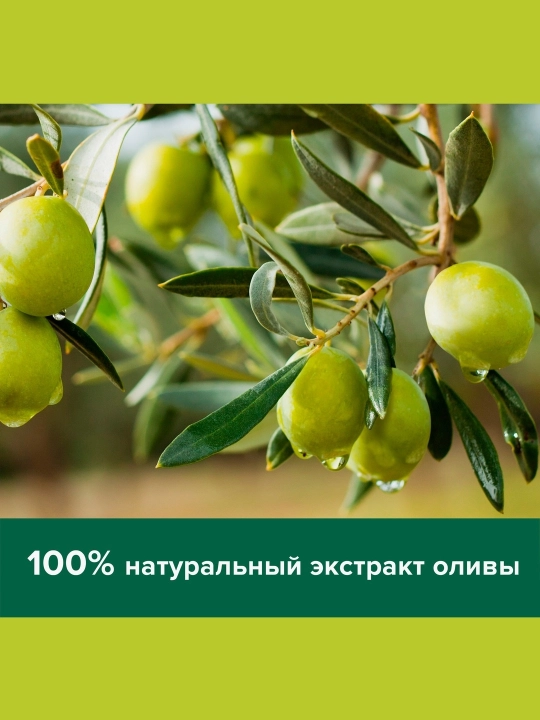 Tualet sovuni Palmolive Aloe&Olive, 90 g