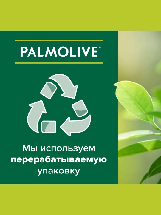 Qattiq yuvinish sovuni Palmolive Natureĺ, yashil choy va bodring ekstraktlari bilan, 70 gr