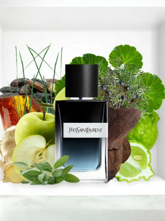 Yves Saint Laurent noyob va yangi erkaklar ifori, 100 ml