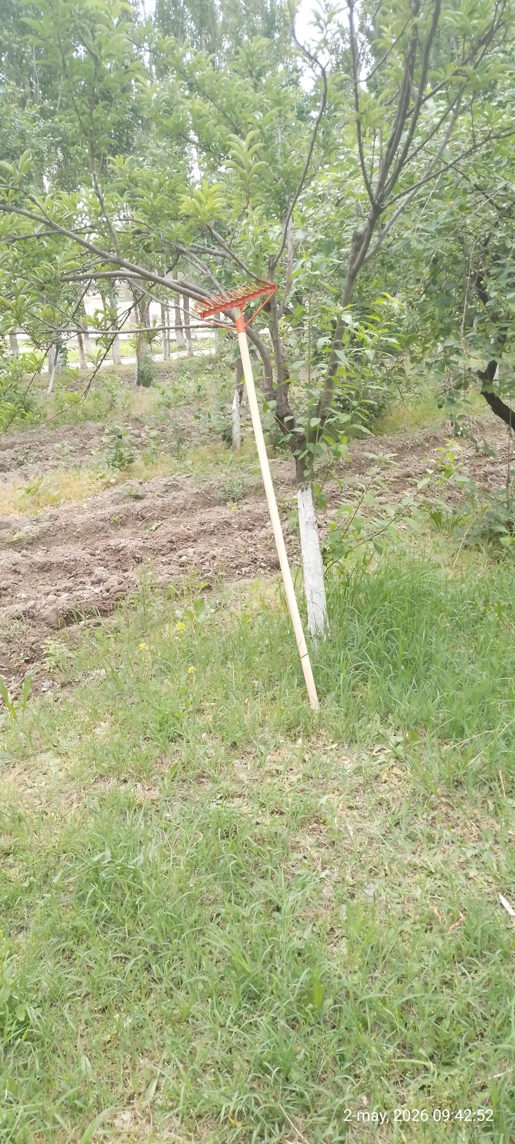 Yuqori sifatli metall xaskashlar - bog‘ va hovli uchun mustahkam xaskashlar