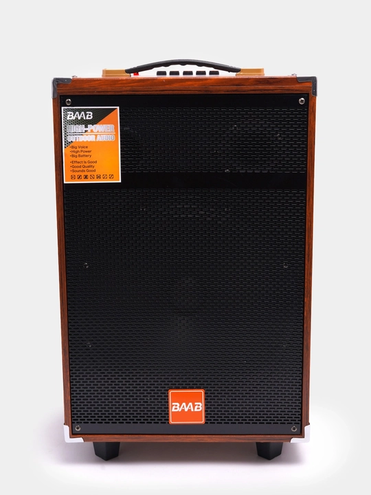 Колонка караоке BAAB B-Q12 с 2 беспроводными микрофонами