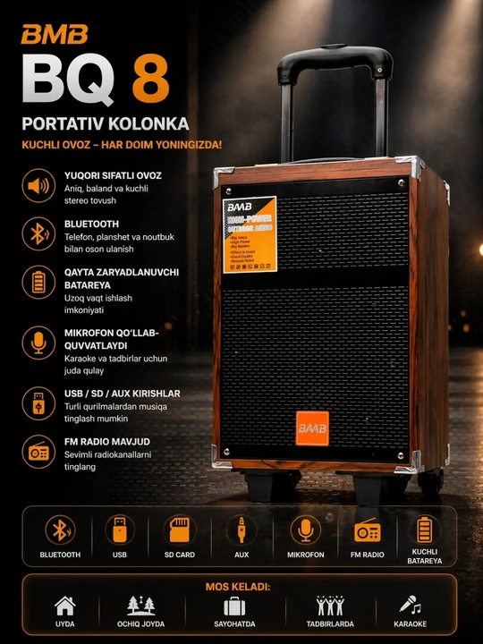 Колонка караоке BAAB B-Q12 с 2 беспроводными микрофонами