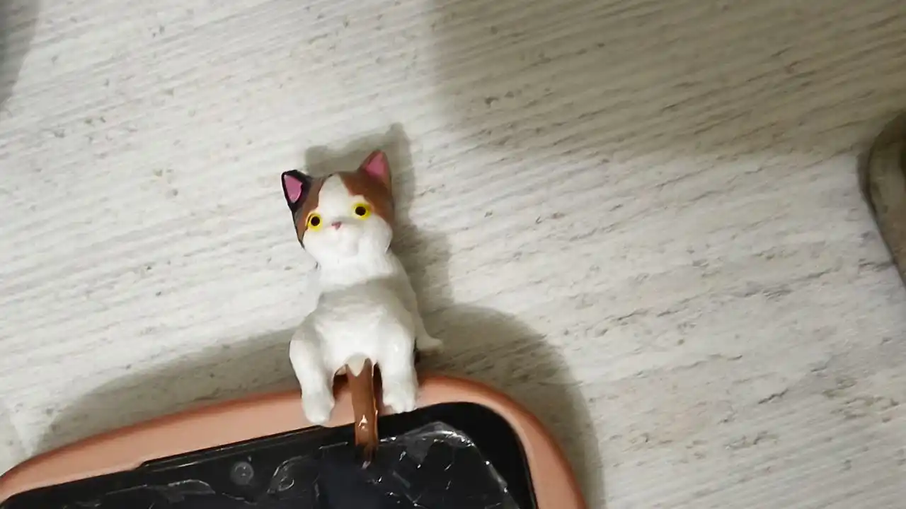 Telefon uchun ilgak Yopishqoq mushukchalar, 1 ta tasodifiy o‘yinchoq