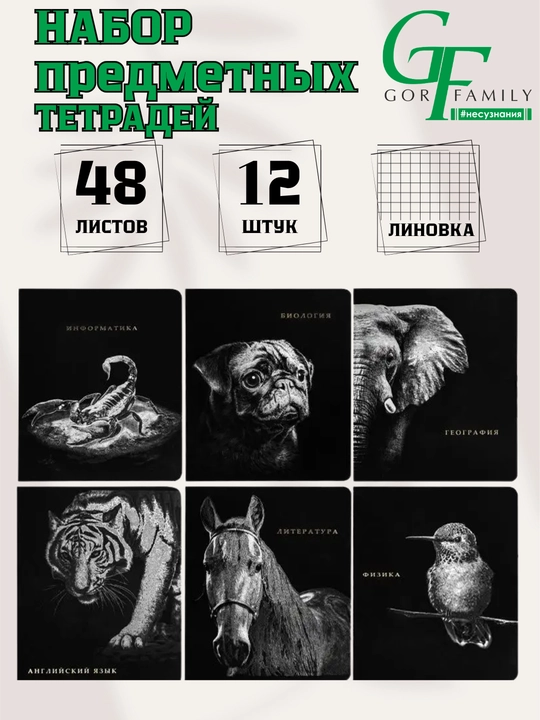 Набор предметных тетрадей: 48 листов, А5 формат, 10–12 штук (Клетка и линия) - 