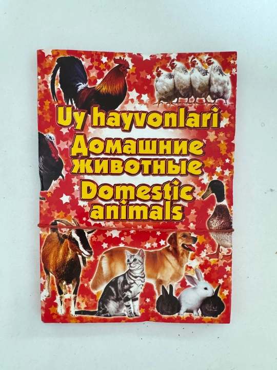Bolalar uchun ko‘ruvni rivojlantiruvchi stimulus kartochkalar to‘plami - 