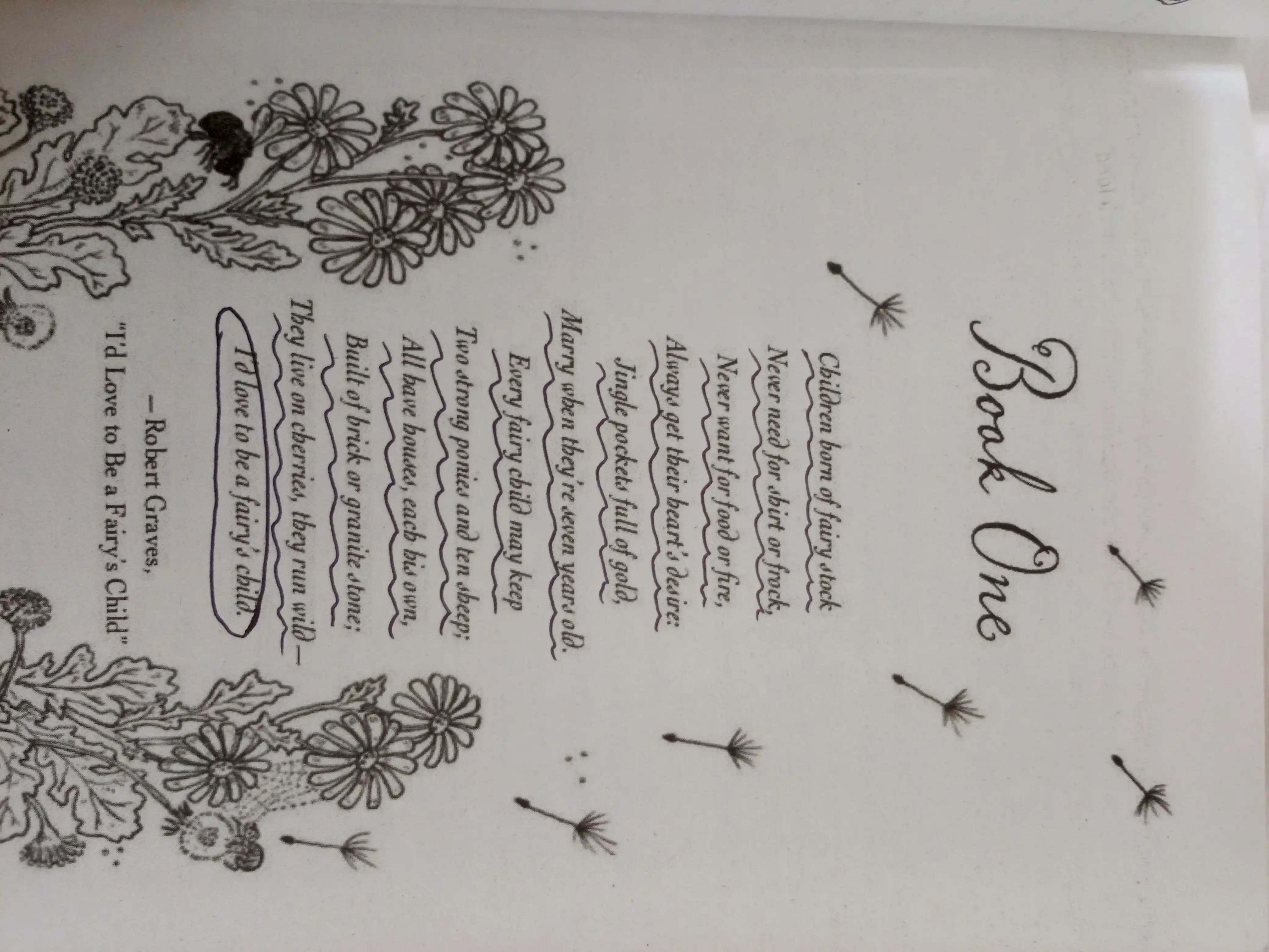 The Cruel Prince, Holly Black