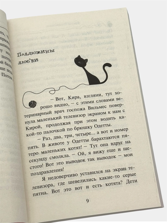 Приключения кота-детектива Агент на мягких лапах, Дело о невидимке Фрауке Шойнеманн