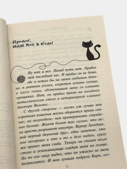 Приключения кота-детектива Агент на мягких лапах, Дело о невидимке Фрауке Шойнеманн