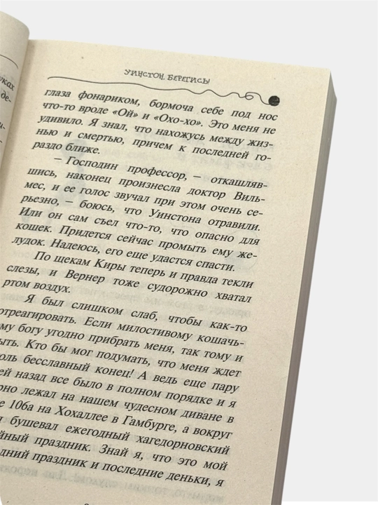 Приключения кота-детектива Агент на мягких лапах, Дело о невидимке Фрауке Шойнеманн
