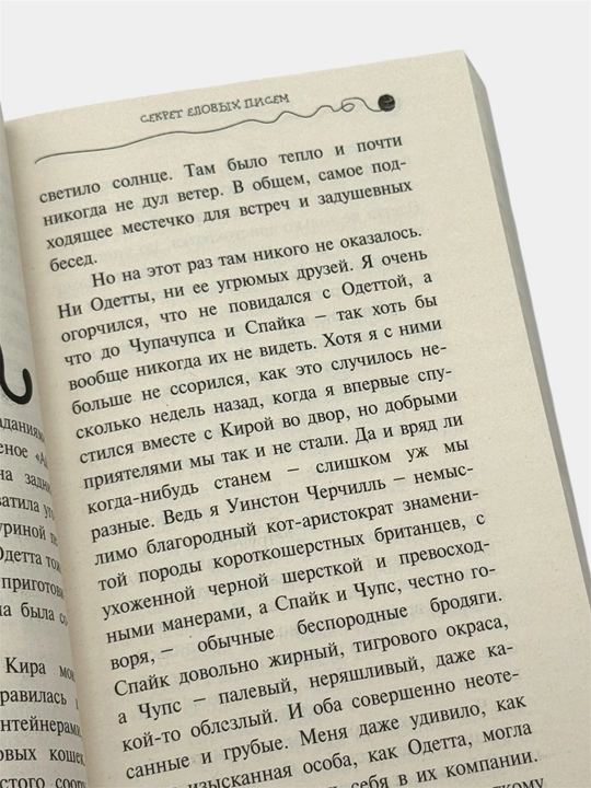 Приключения кота-детектива Агент на мягких лапах, Дело о невидимке Фрауке Шойнеманн