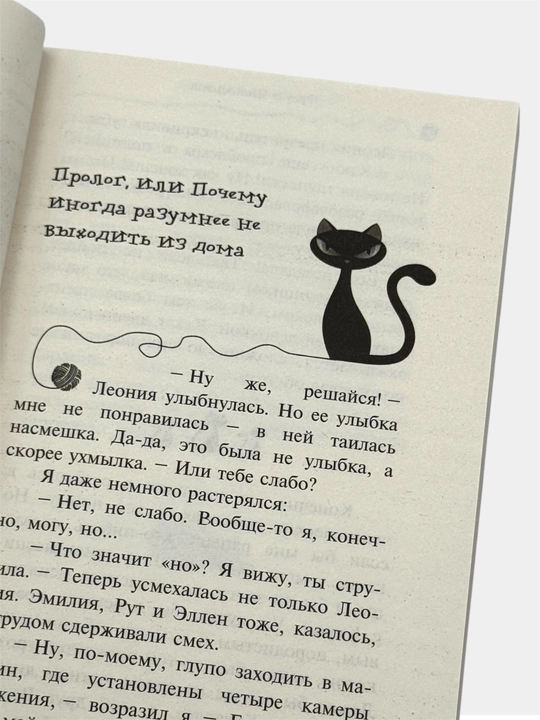 Приключения кота-детектива Агент на мягких лапах, Дело о невидимке Фрауке Шойнеманн