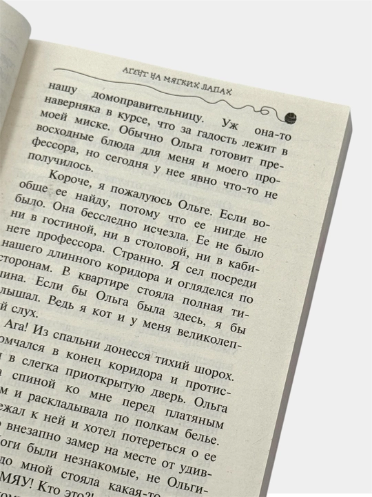 Приключения кота-детектива Агент на мягких лапах, Дело о невидимке Фрауке Шойнеманн