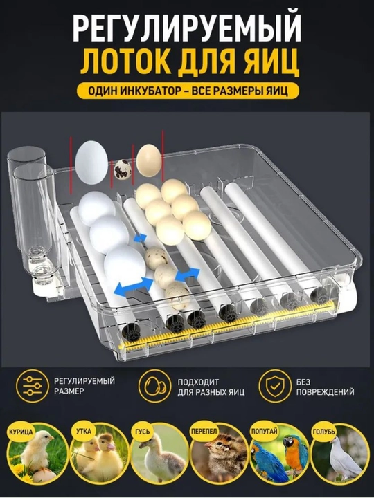 Инкубатор для яиц на 36/72/144/216/288, работает от 12В и 220В