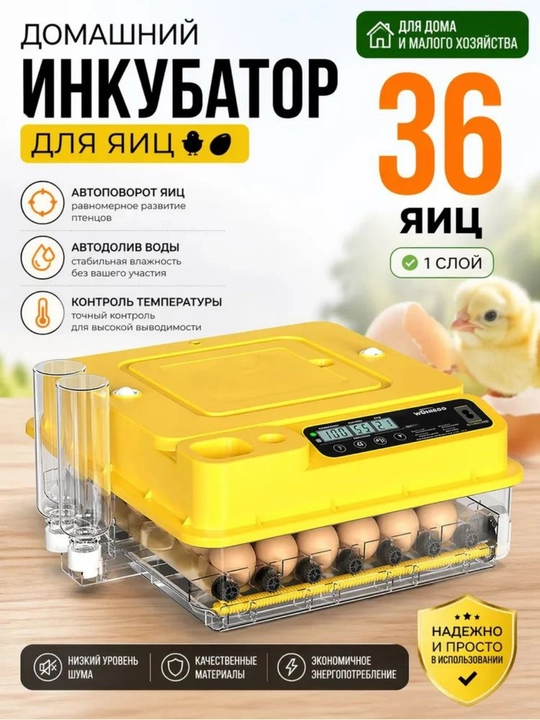 Инкубатор для яиц на 36/72/144/216/288, работает от 12В и 220В - 