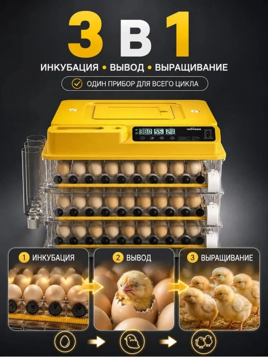 Инкубатор для яиц на 36/72/144/216/288, работает от 12В и 220В
