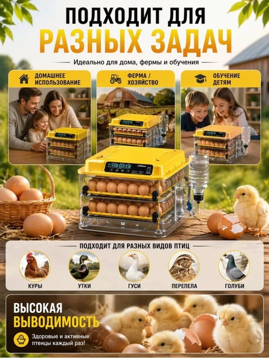 Инкубатор для яиц на 36/72/144/216/288, работает от 12В и 220В