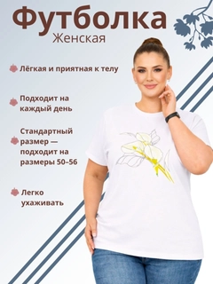 Oq
