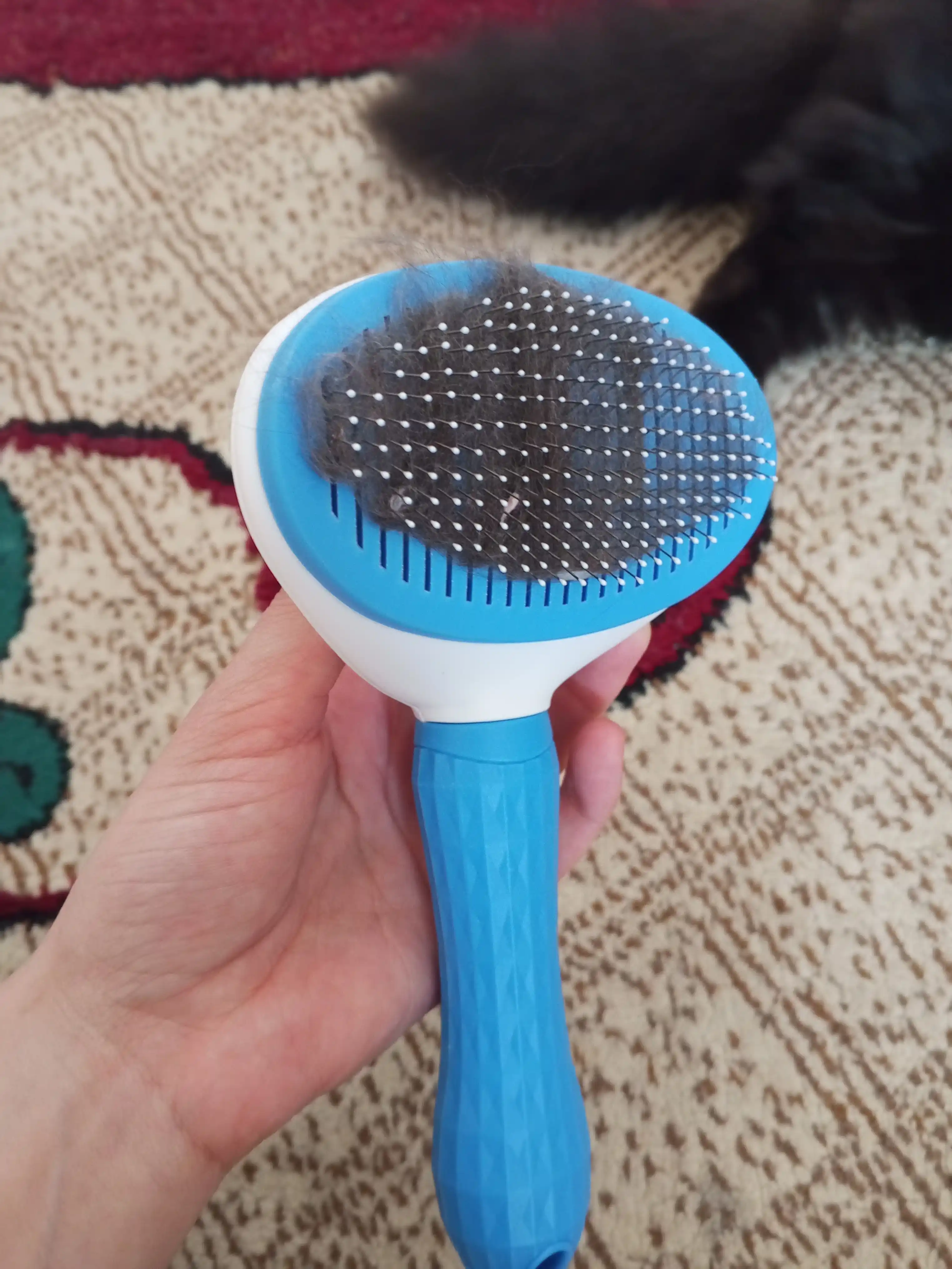 Jun yig'ish bilan taroqli silliqlash, it va mushuklar uchun deshedder