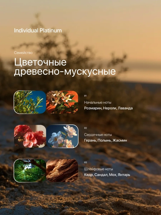 Туалетная вода для мужчин Individual platinum, Dilis