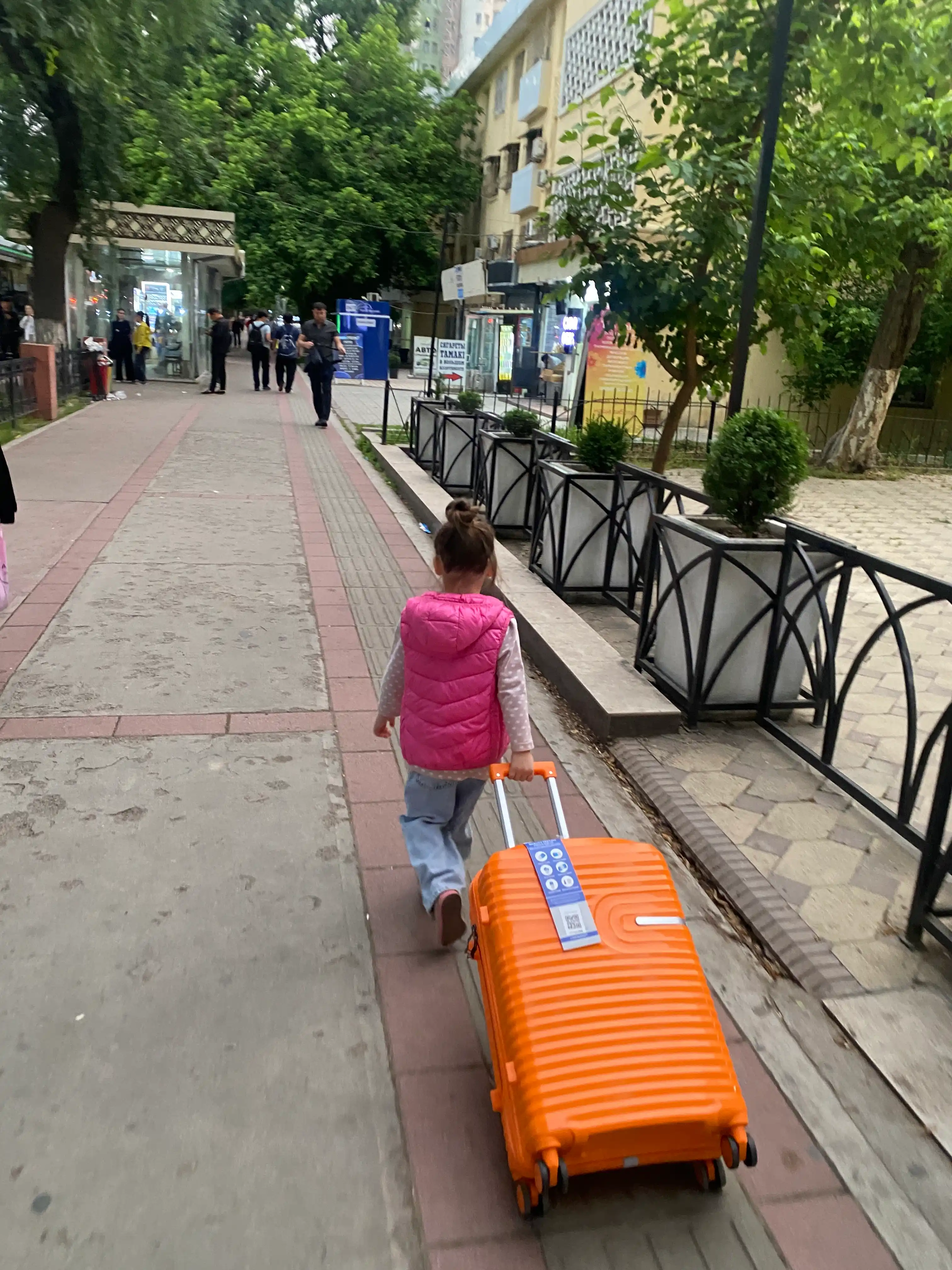 Прочные чемоданы для путешествий GoSafar