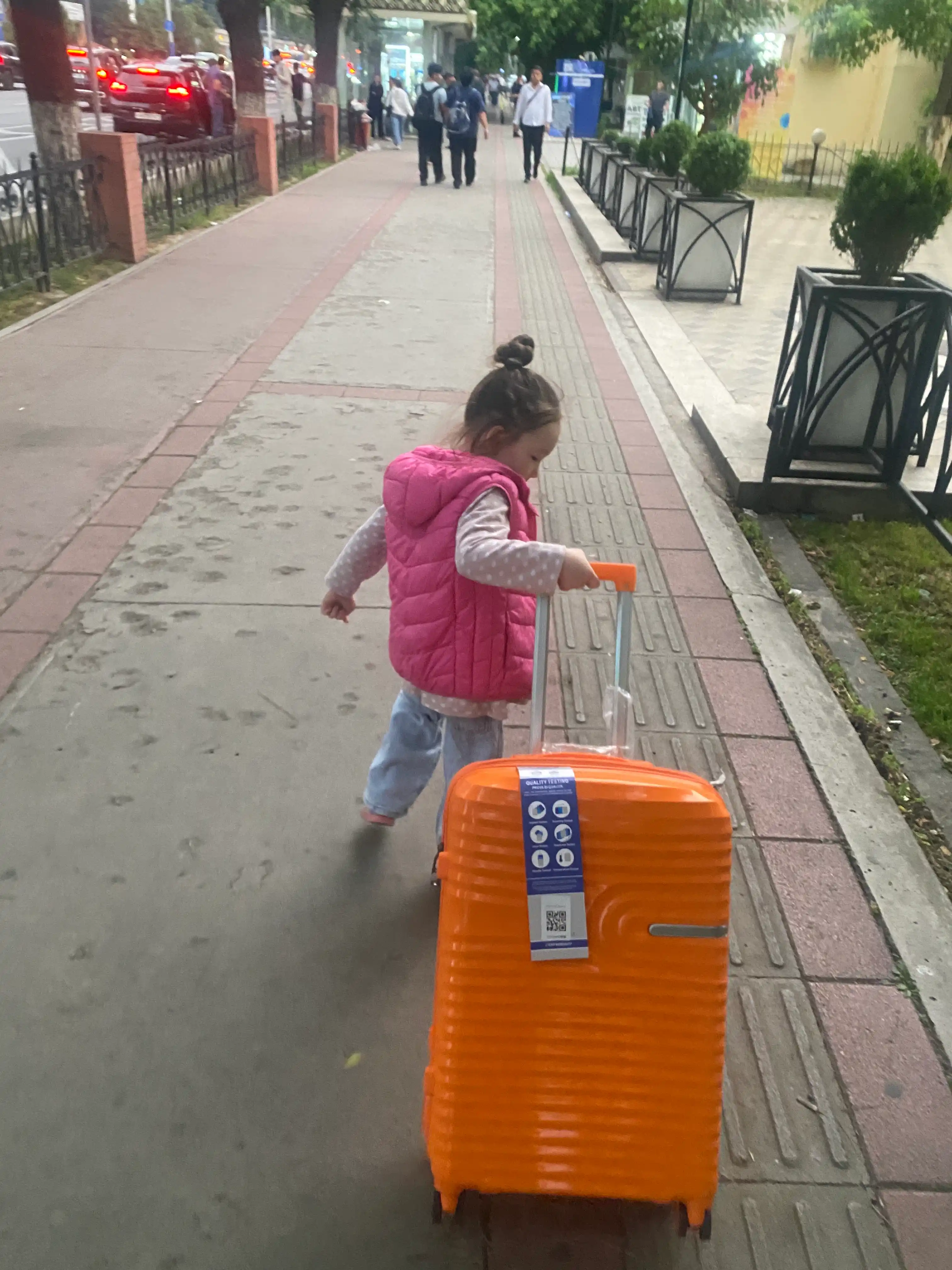 Прочные чемоданы для путешествий GoSafar