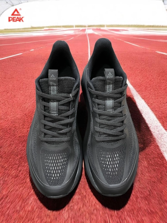 PEAK SPORT erkaklar krossovkasi, 40-46, 47, 48 Running, yugurish uchun