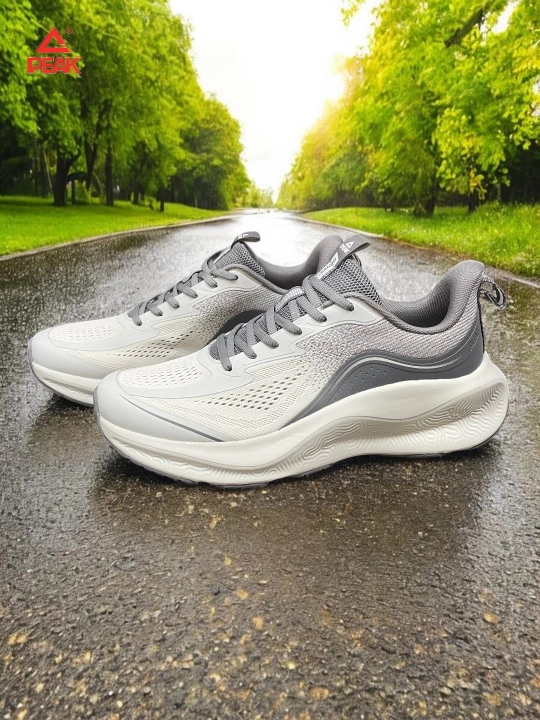 PEAK SPORT erkaklar krossovkasi, 40-46, 47, 48 Running, yugurish uchun