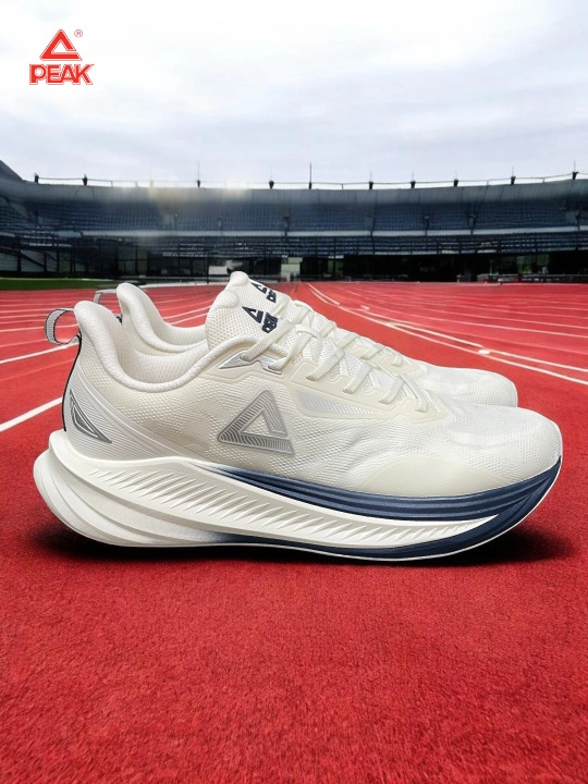 PEAK SPORT erkaklar krossovkasi, 40-46, 47, 48 Running, yugurish uchun