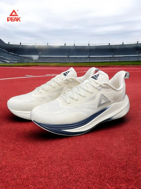 PEAK SPORT erkaklar krossovkasi, 40-46, 47, 48 Running, yugurish uchun