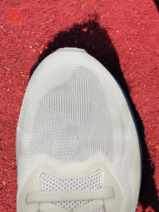 PEAK SPORT erkaklar krossovkasi, 40-46, 47, 48 Running, yugurish uchun
