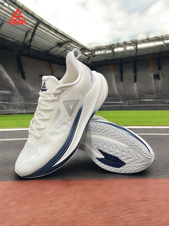 PEAK SPORT erkaklar krossovkasi, 40-46, 47, 48 Running, yugurish uchun