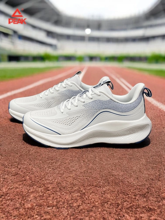 PEAK SPORT erkaklar krossovkasi, 40-46, 47, 48 Running, yugurish uchun