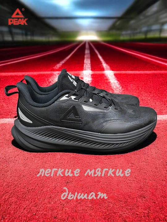 PEAK SPORT erkaklar krossovkasi, 40-46, 47, 48 Running, yugurish uchun