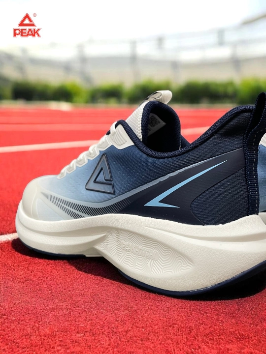 PEAK SPORT erkaklar krossovkasi, 40-46, 47, 48 Running, yugurish uchun