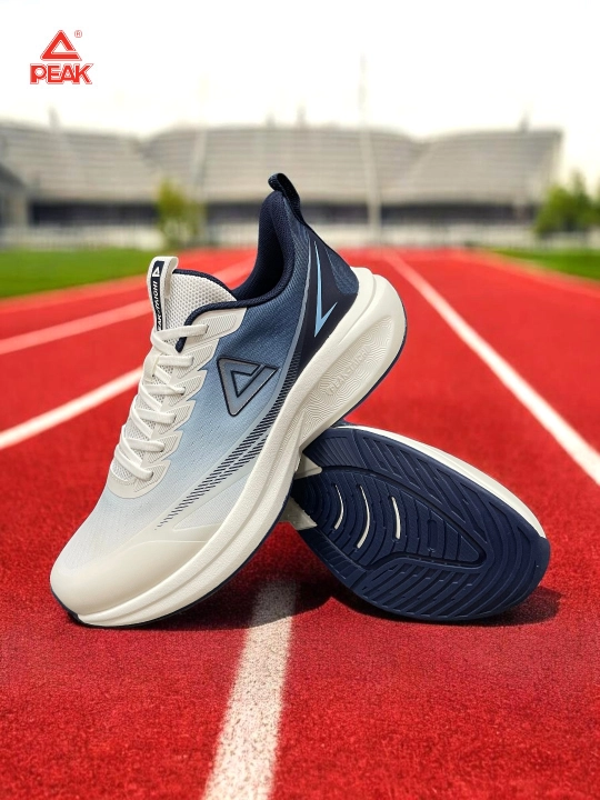 PEAK SPORT erkaklar krossovkasi, 40-46, 47, 48 Running, yugurish uchun