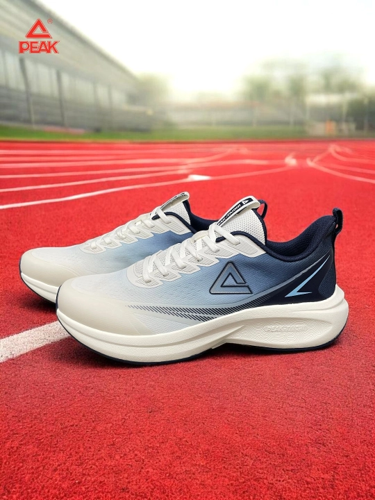 PEAK SPORT erkaklar krossovkasi, 40-46, 47, 48 Running, yugurish uchun