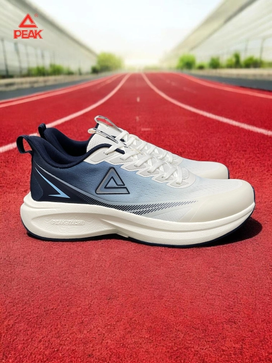 PEAK SPORT erkaklar krossovkasi, 40-46, 47, 48 Running, yugurish uchun