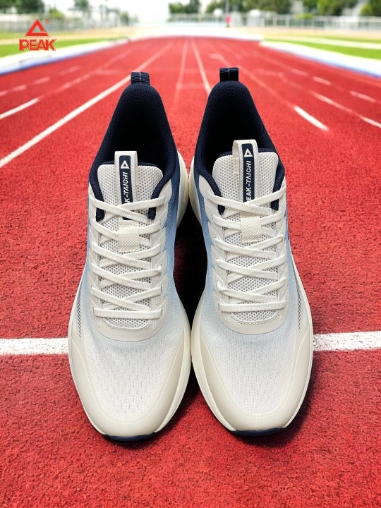 PEAK SPORT erkaklar krossovkasi, 40-46, 47, 48 Running, yugurish uchun